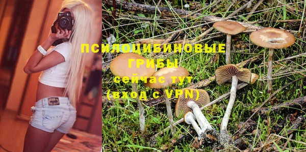 амф Абдулино