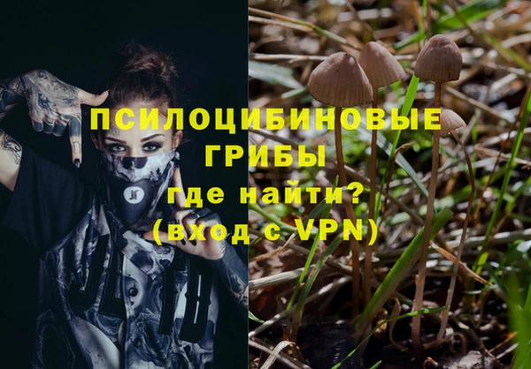 крисы Абаза